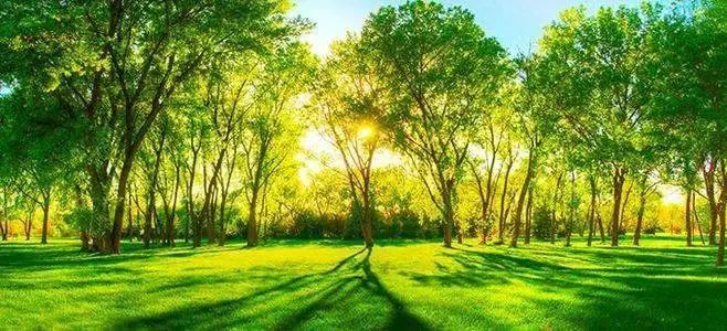 暑假趣事作文儿_暑期生活趣事_儿童暑假生活趣事