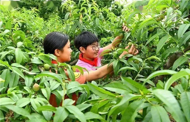 儿童暑假生活趣事_暑期生活趣事_暑假趣事作文儿