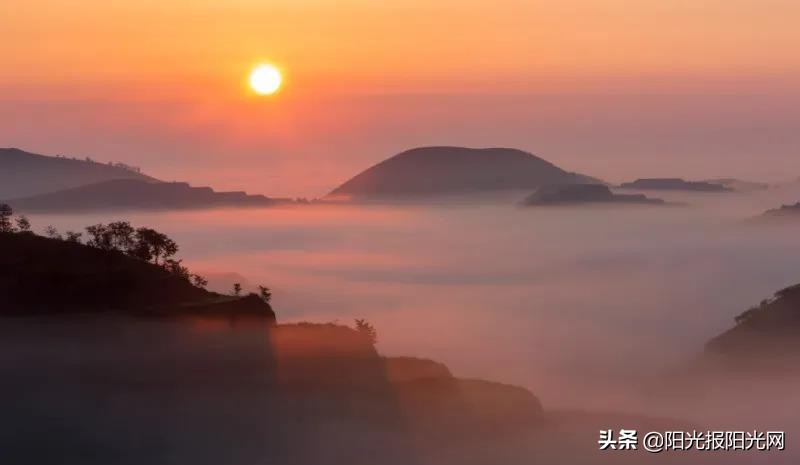 举重冠军举重视频_举重冠军视死如归_来吧冠军举重免费